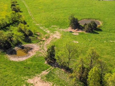77 Acres Of Lush Pastures Southern Missouri Ozarks - image 11