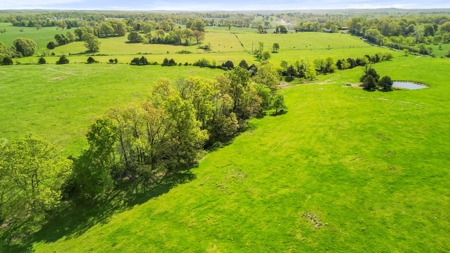77 Acres Of Lush Pastures Southern Missouri Ozarks - image 23