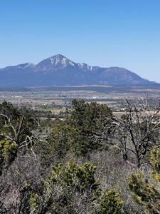 Country Home on Land For Sale in Dolores, CO - image 2
