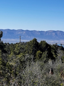 Country Home on Land For Sale in Dolores, CO - image 1