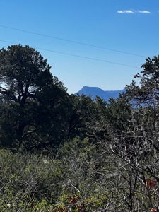 Country Home on Land For Sale in Dolores, CO - image 3