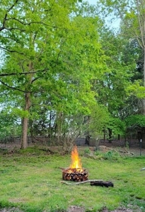 Country Home in Cabool, Missouri - image 43