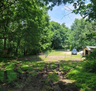 Country Home in Cabool, Missouri - image 41