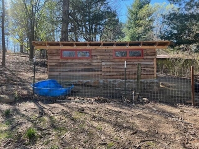 Country Home in Cabool, Missouri - image 17