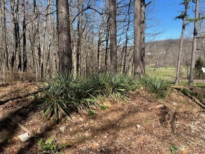 Country Home in Cabool, Missouri - image 6