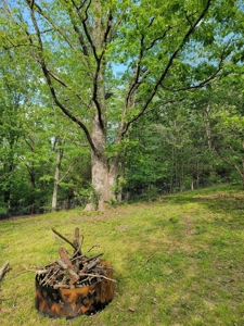 Country Home in Cabool, Missouri - image 38