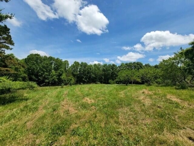 Country Home in Cabool, Missouri - image 39