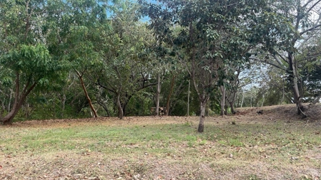 Land of 1438.74mt2 in Costa Esmeralda, San Carlos - image 7