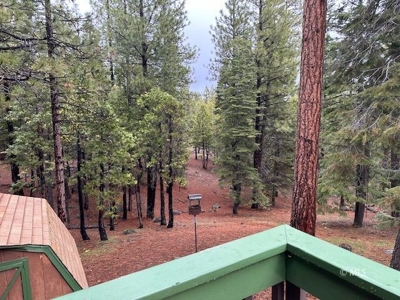 2 bed/2 bath 960 sq. ft Home in the Mountains - image 3