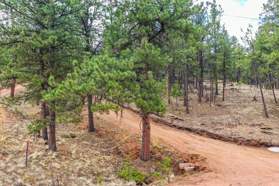 Corner Of Property And Driveway