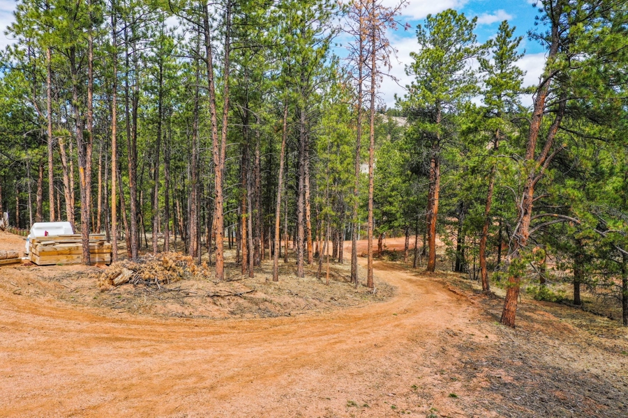 Top Of Driveway