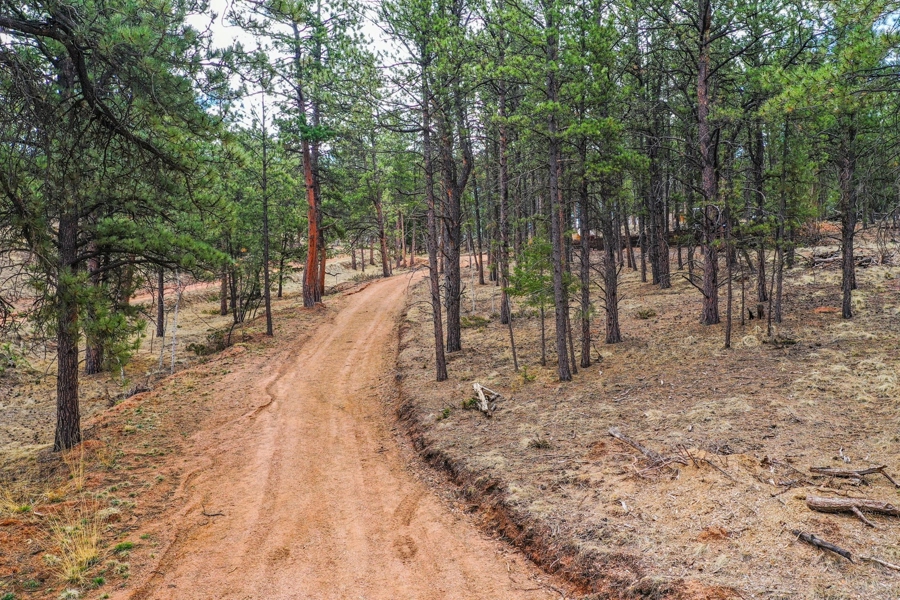 Bottom Of Driveway
