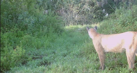Devils Garden Ranch - image 4
