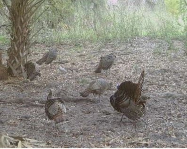 Devils Garden Ranch - image 10