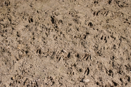 Devils Garden Ranch - image 6