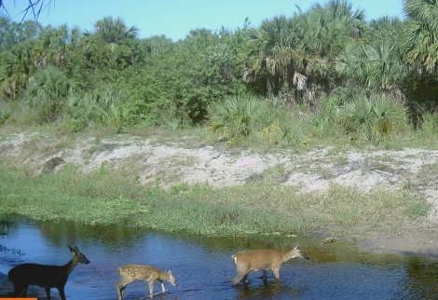 Devils Garden Ranch - image 8