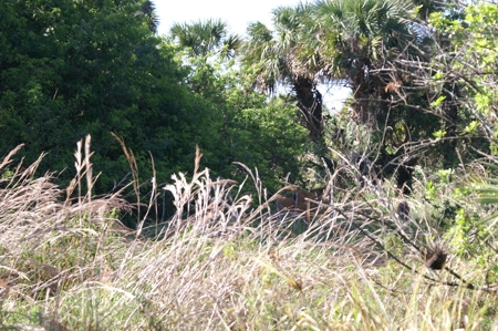 Devils Garden Ranch - image 3