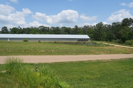 Mississippi Poutry Farm for Sale 45± Acres and Residence - image 21