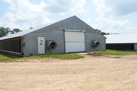 Mississippi Poutry Farm for Sale 45± Acres and Residence - image 4