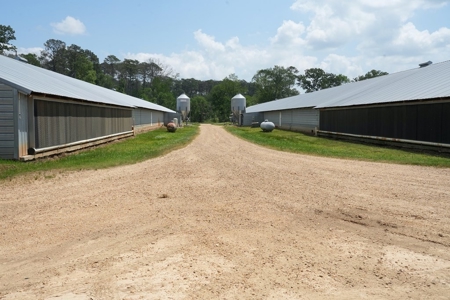 Mississippi Poutry Farm for Sale 45± Acres and Residence - image 16