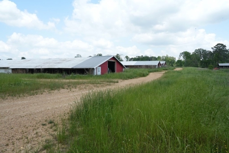 Mississippi Poutry Farm for Sale 45± Acres and Residence - image 30