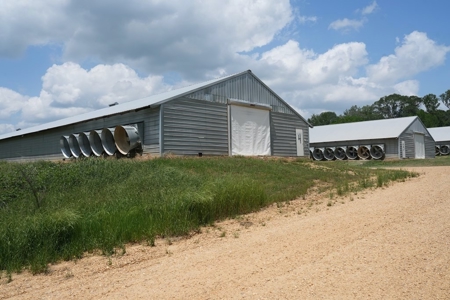 Mississippi Poutry Farm for Sale 45± Acres and Residence - image 2