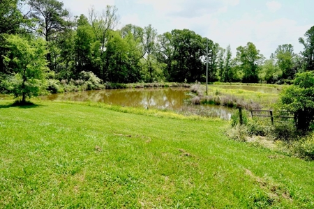 Mississippi Poutry Farm for Sale 45± Acres and Residence - image 22