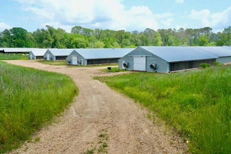 Mississippi Poutry Farm for Sale 45± Acres and Residence - image 1