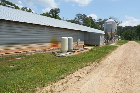 Mississippi Poutry Farm for Sale 45± Acres and Residence - image 5