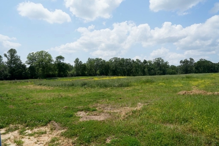 Mississippi Poutry Farm for Sale 45± Acres and Residence - image 24