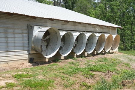 Mississippi Poutry Farm for Sale 45± Acres and Residence - image 8