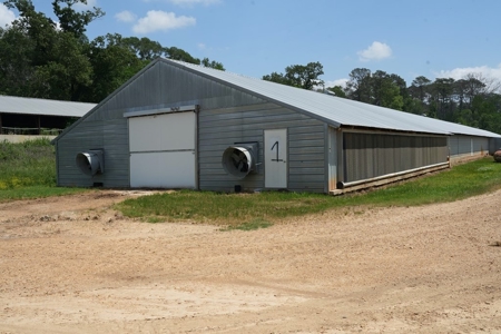 Mississippi Poutry Farm for Sale 45± Acres and Residence - image 19