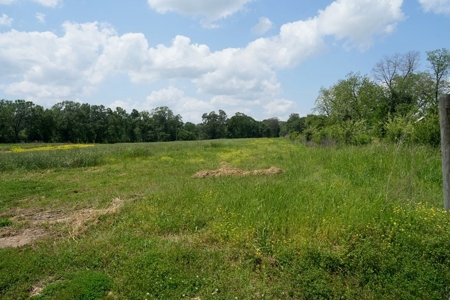 Mississippi Poutry Farm for Sale 45± Acres and Residence - image 23