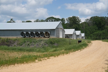 Mississippi Poutry Farm for Sale 45± Acres and Residence - image 3