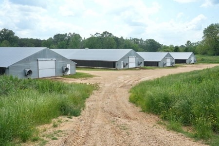 Mississippi Poutry Farm for Sale 45± Acres and Residence - image 26
