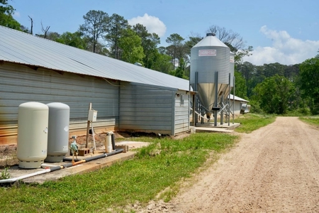 Mississippi Poutry Farm for Sale 45± Acres and Residence - image 7