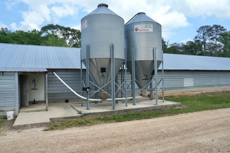 Mississippi Poutry Farm for Sale 45± Acres and Residence - image 6