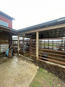 Home & Building For Sale - image 8
