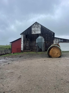 Home & Building For Sale - image 19