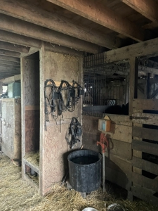 Home & Building For Sale - image 33