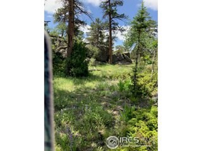 Amazing Views - image 6