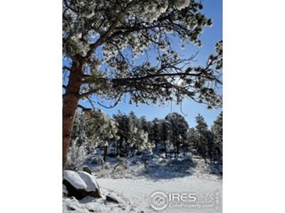 Amazing Views - image 3