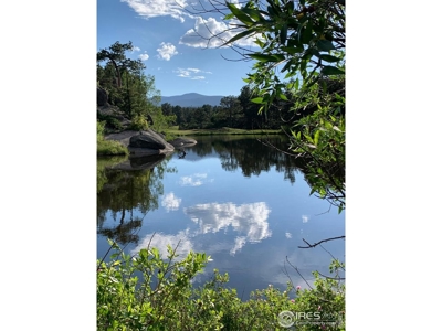 Mountain Golf Property - image 5