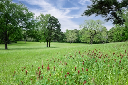 East Texas Luxury Cattle & Horse Ranch Jacksonville & Tyler - image 35
