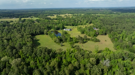 East Texas Luxury Cattle & Horse Ranch Jacksonville & Tyler - image 4