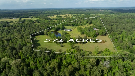 East Texas Luxury Cattle & Horse Ranch Jacksonville & Tyler - image 3