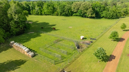 East Texas Luxury Cattle & Horse Ranch Jacksonville & Tyler - image 7