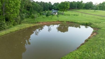 East Texas Luxury Cattle & Horse Ranch Jacksonville & Tyler - image 46