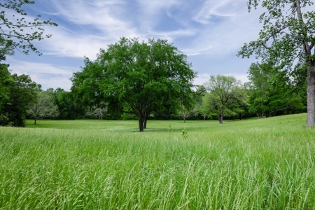 East Texas Luxury Cattle & Horse Ranch Jacksonville & Tyler - image 8
