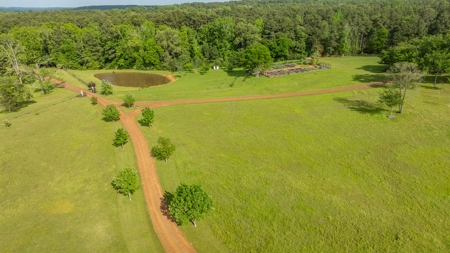 East Texas Luxury Cattle & Horse Ranch Jacksonville & Tyler - image 36